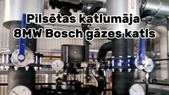 Revenita Video