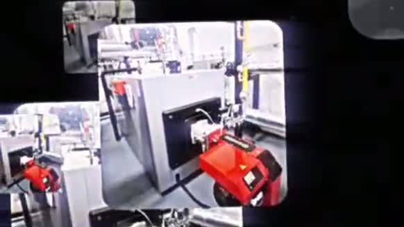 Revenita Video